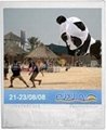 3255 熊猫风筝 3