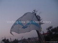 3465 Nasa kite 1