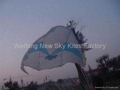 3465 Nasa kite