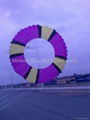 5100 Ring kite