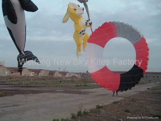 5100 Ring kite ( diametre 2.7M )