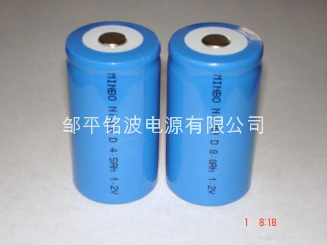 D-type Ni-Cd  rechargeable batteries  3