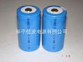 D-type Ni-Cd  rechargeable batteries  3