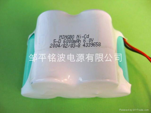 D-type Ni-Cd  rechargeable batteries  4