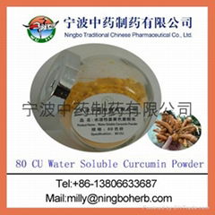 Water Soluble Turmeric Extract