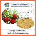 Chinese Waxmyrtle Extract 1
