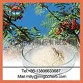 Chinese Waxmyrtle Extract 2