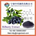 Bilberry Extract 3