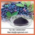 Bilberry Extract 2