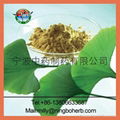 Ginkgo biloba Extract 1