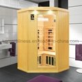 small coner sauna with combined heater