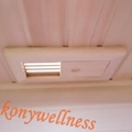 cheapest hemlock far Infrared dry Sauna