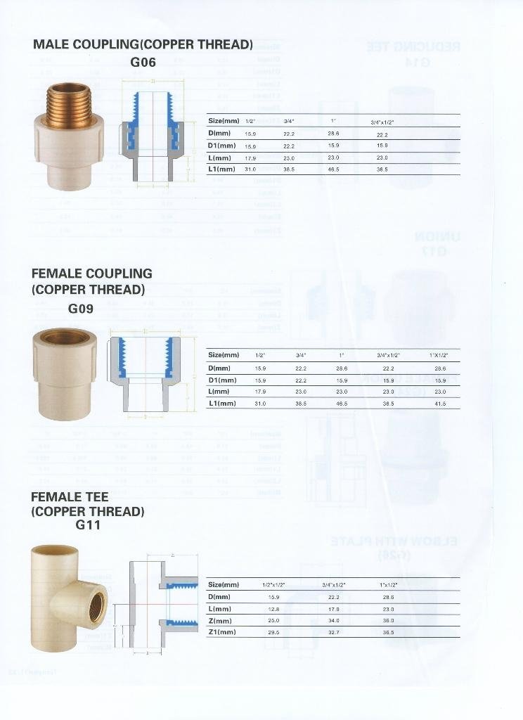  ASTM 2846 CPVC PIPE AND FITTINGS 2