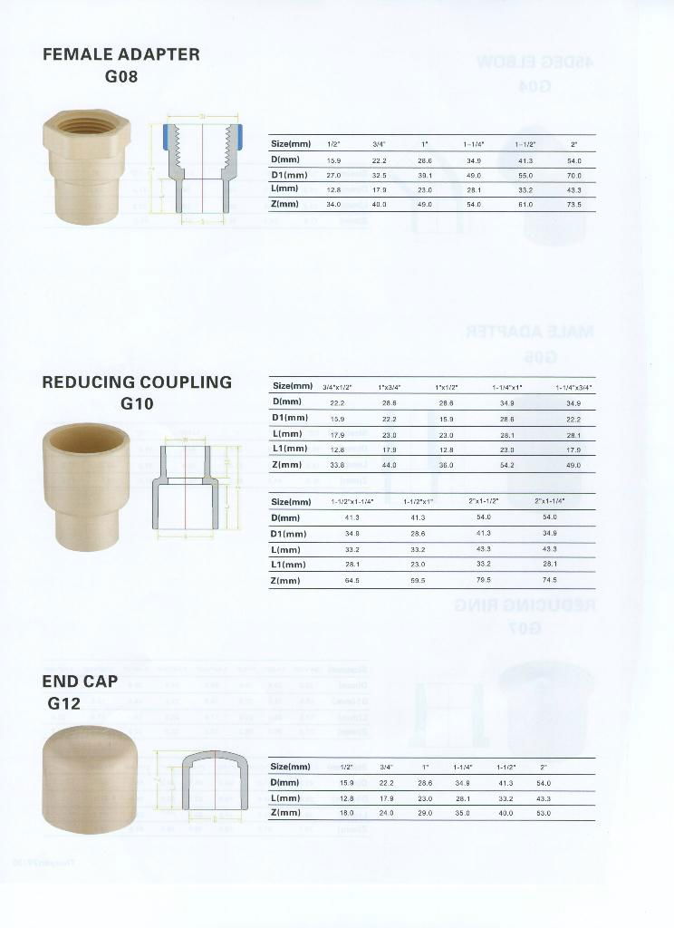  ASTM 2846 CPVC PIPE AND FITTINGS 4