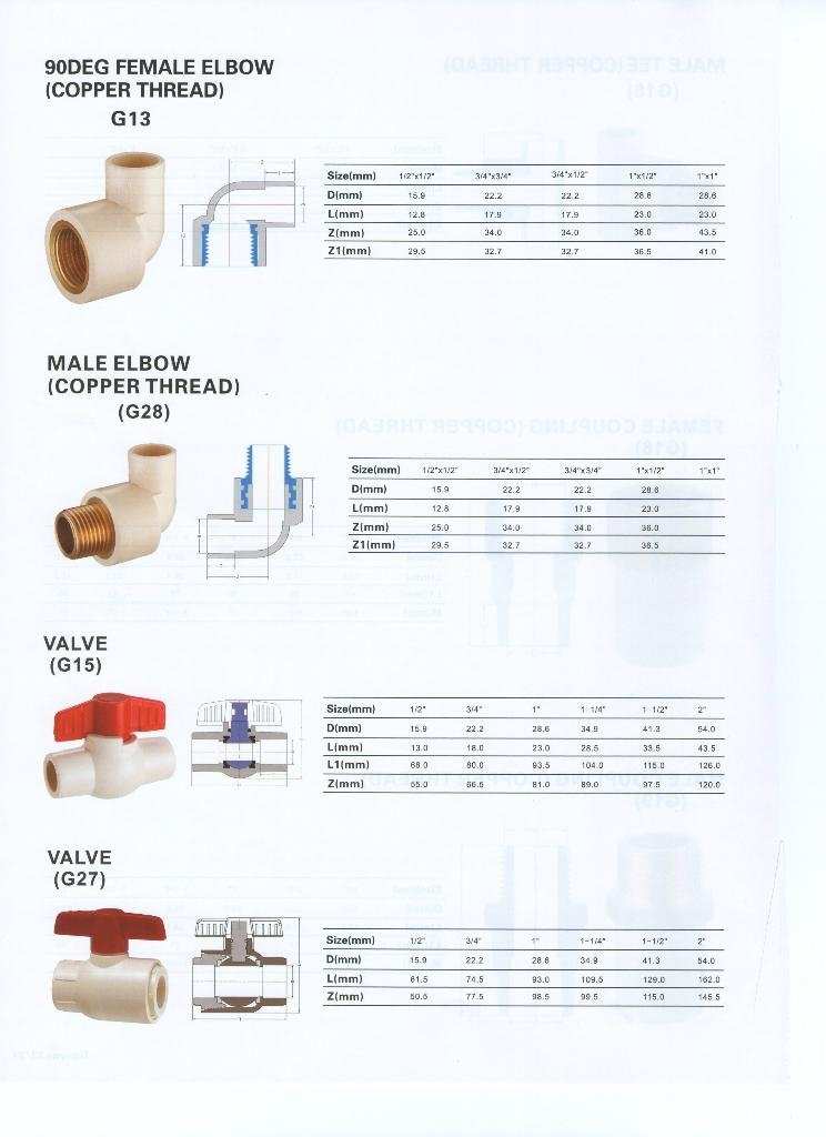  ASTM 2846 CPVC PIPE AND FITTINGS 5