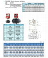 ELECTRIC ACTUATOR TRUE UNION BALL VALVE 2