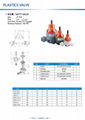 Safety Valve/Back Pessure Valve