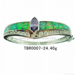 Fashion Jewelry bangle