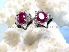 Fashion jewelry Earrings