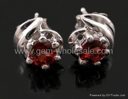 Fashion jewelry Earrings 2