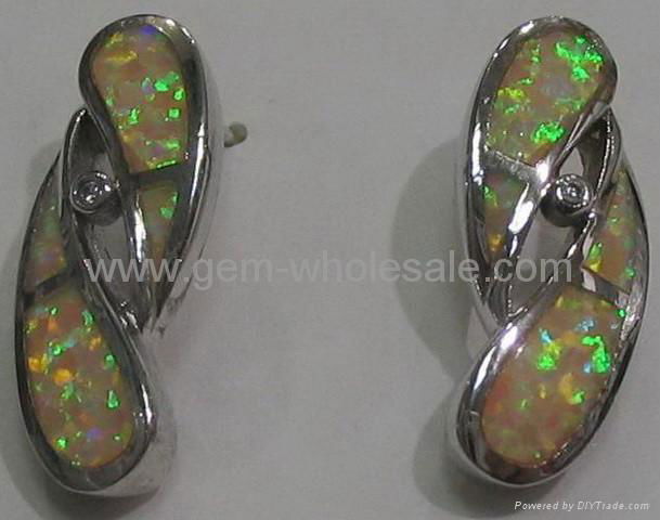 Fashion jewelry Earrings 4