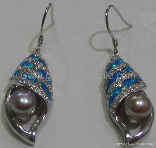 Fashion jewelry Earrings 5