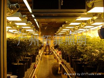 T5高輸出植物生長燈盤,GROW LIGHT 3