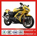 RACING MOTORCYCLE