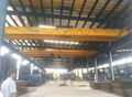 double girder beam cranes