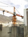 Topkits tower crane from China 3