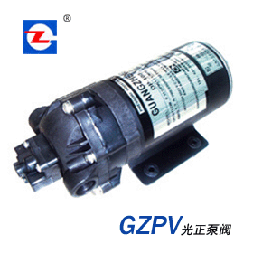 DP型微型隔膜泵