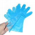 Disposable Plastic TPE Gloves  5