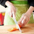  Disposable Plastic  Kitchen  TPE glove  2