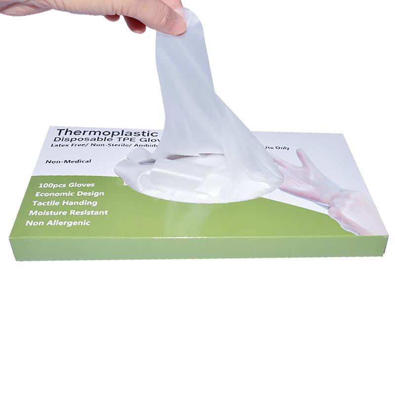  Disposable Plastic  Kitchen  TPE glove  3