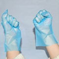  Household Cleaning TPE Gloves  1