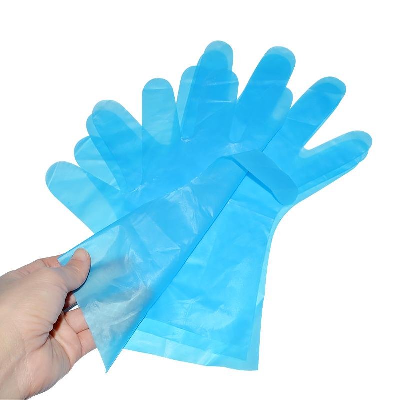 Disposable HYBRID TPE Glove 4