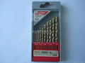 10pcs hss drill set