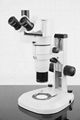 Stereo microscope