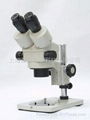 体视显微镜 3