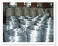 hot dip galvanized wire 2