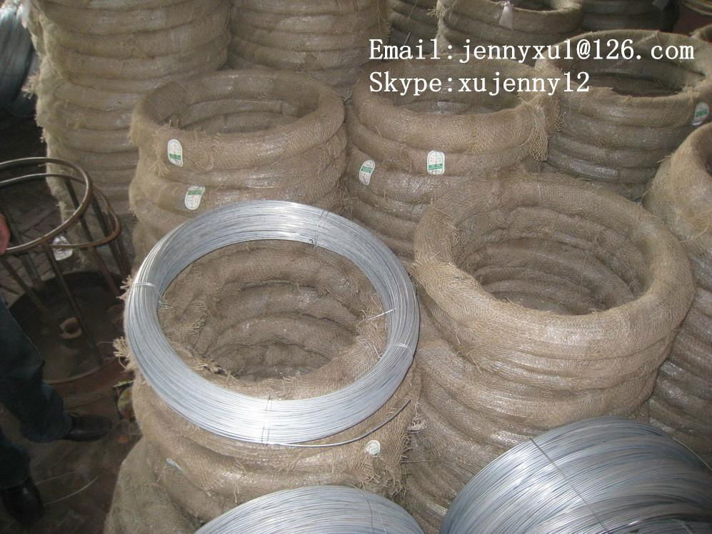 hot dip galvanized wire 3