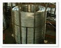 Big coil galvanized wire 2