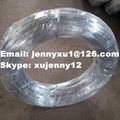 electro galvanized wire 1