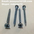 drywall screw 1