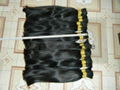 Remy Hair Bulk 2