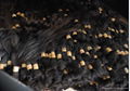 Raw Remy Human Hair