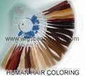 human hair