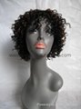 Synthetic Short Wig