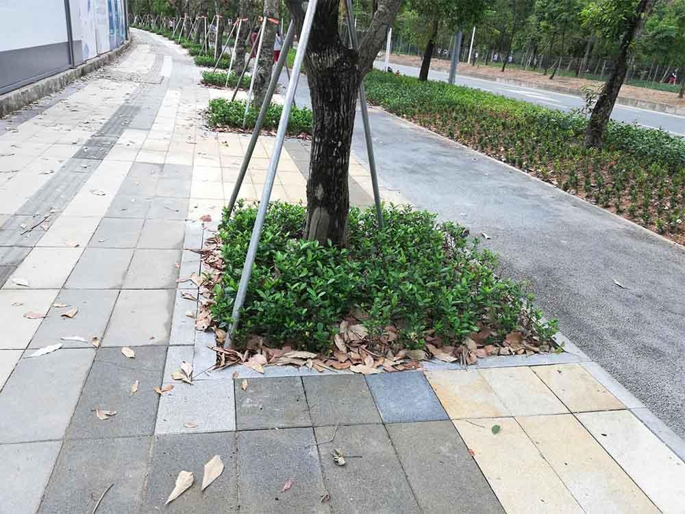 树池石厂家提供树窝石/树坑石/树边石 阶格