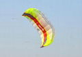 High quality power kite foil kite train kite 2